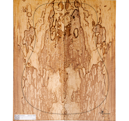 Spalted Beech Set Nº7 Acoustic Guitar MB Exclusive