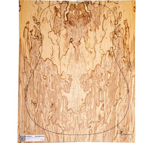 Juego Haya Spalted Guitarra Acústica MB Exclusive Nº8