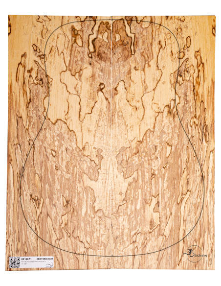 Jeu Hêtre Spalted Nº8 Guitare Acoustique MB Exclusive