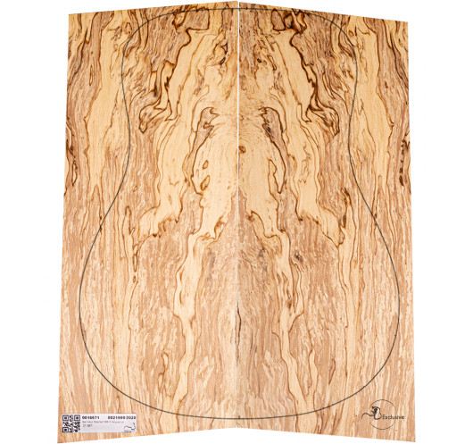 Juego Haya Spalted Guitarra Acústica MB Exclusive Nº9