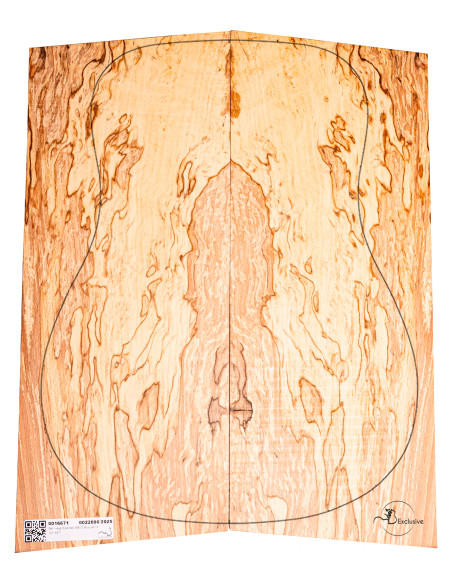 Jeu Hêtre Spalted Nº10 Guitare Acoustique MB Exclusive