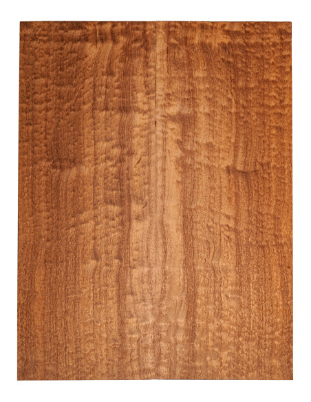 Carved Top Sapelli Pomele AA Gitarre / E-Bass