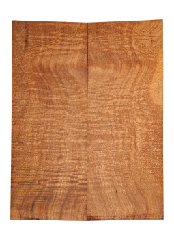AAA Drop Top Sapele Quilted Bass / Electric Guitar
