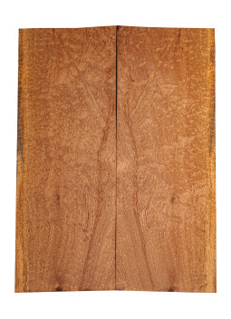 Drop Top Sapelli Quilted 1ª Guitarra / Bajo Eléctrico