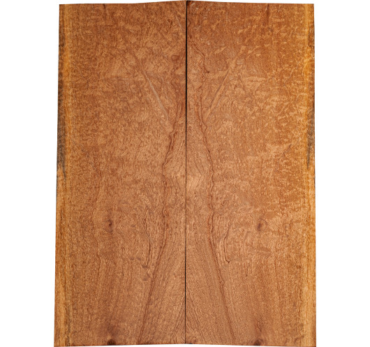 AA Drop Top Sapele Quilted Bass / Electric Guitar