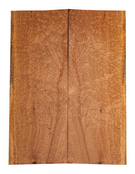 Drop Top Sapelli Quilted 1ª Guitarra / Bajo Eléctrico