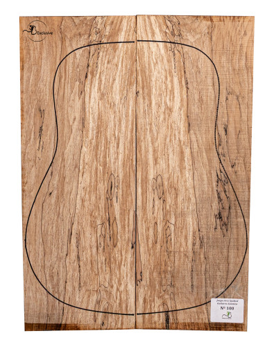 Chitarra acustica in acero spalted MB Exclusive n. 100