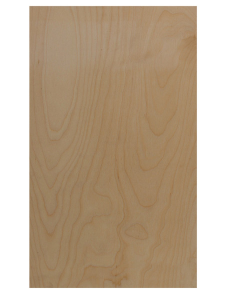 Tablero Trasero 500x310x9 mm.