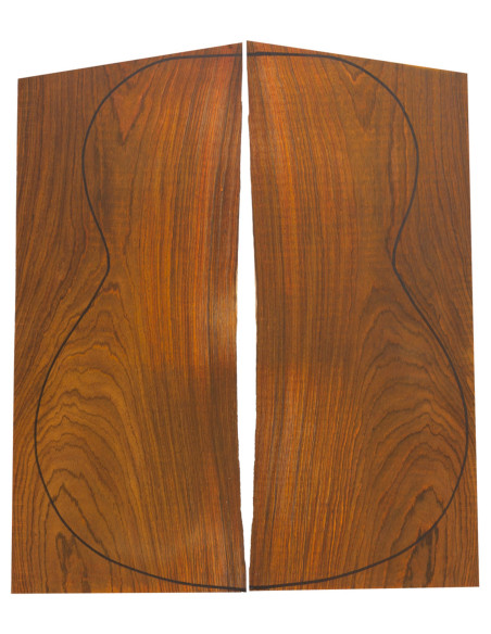 Cocobolo 1ª