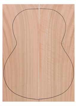 Curly Eucalyptus Back (550x200x4 mm) x2