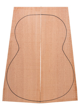 Samanguila guitarra