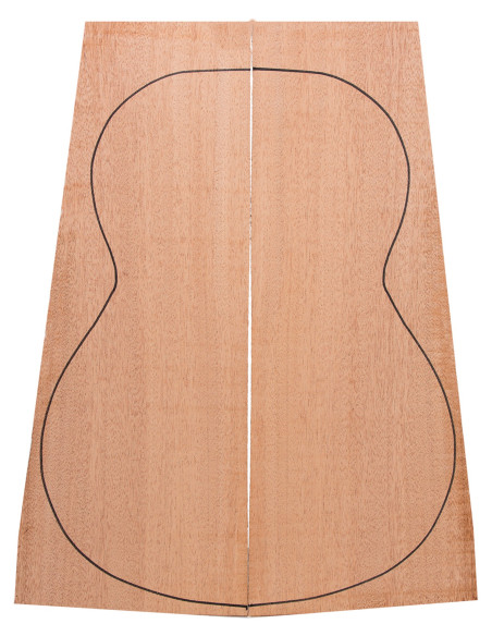 Samanguila guitarra