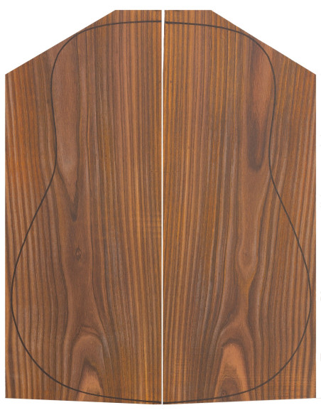 Cocobolo 1ª