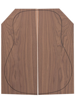 American Walnut 
