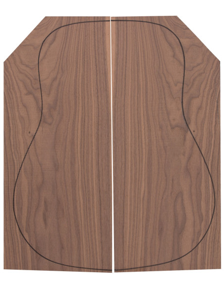 American Walnut 