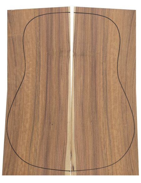 Pau ferro guitarra