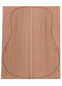 Samanguila guitarra