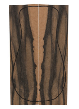 Exotic Ebony Back (360x130x4mm)x2
