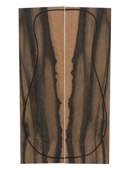 Exotic Ebony Back (360x130x4mm)x2