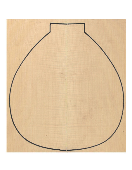 Curly Maple Backs (400x160x4 mm)x2