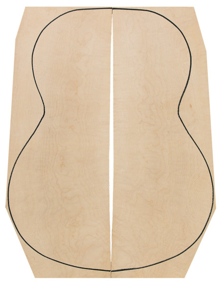 Exotic Maple Back (550x200x4 mm) x2