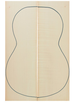 Arce Rizado fondo guitarra