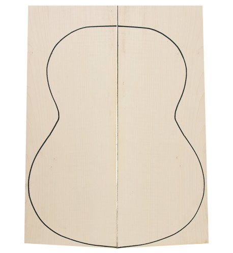 curly maple guitar back