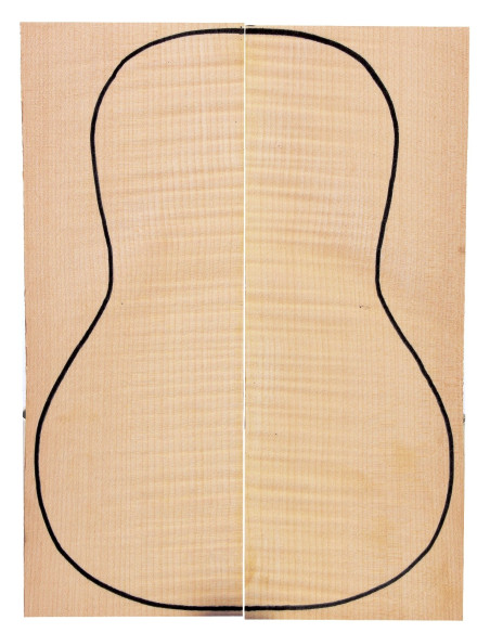 Curly Maple Back (360x130x4 mm)x2