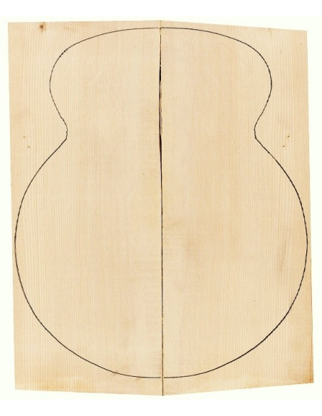 AA European Spruce Tops archtop