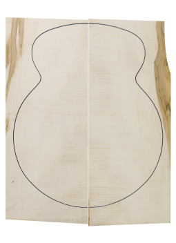archtop Arce Rizado
