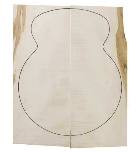 archtop Arce Rizado