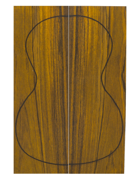 Cocobolo Backs (CITES) (320x120x3mm)x2