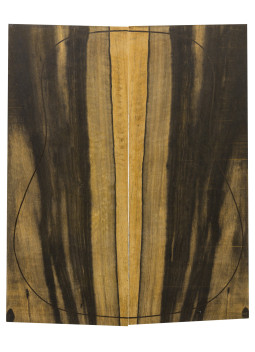 AA Ebony Backs (550x215x4,5 mm.)x2