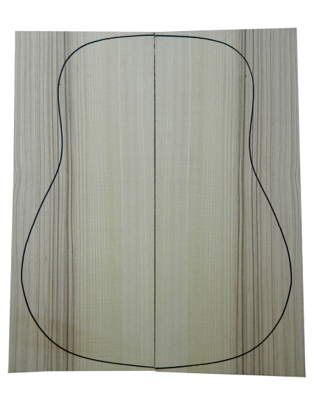 Ash Back Acoustic Guitar