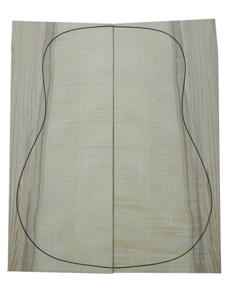 Ash Backs Acustic Guitar