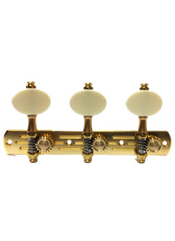 Clavijero 676