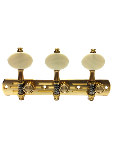 Clavijero 676