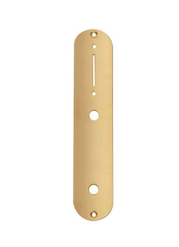 Gold gloss TL style control plate