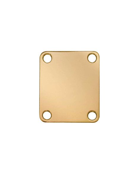 Rectangular gold neck mounting plate