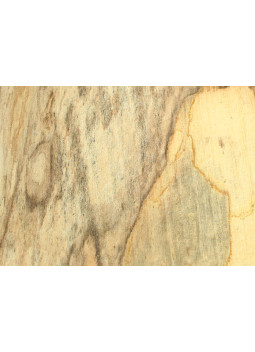 Madera de haya Spalted para torno