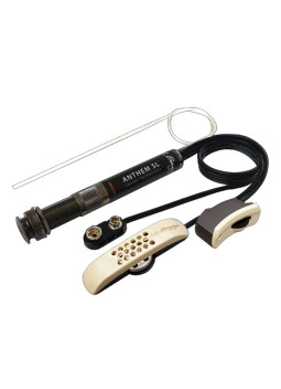 L.R.Baggs Anthem Sl Acoustic with a Microphone Pickup