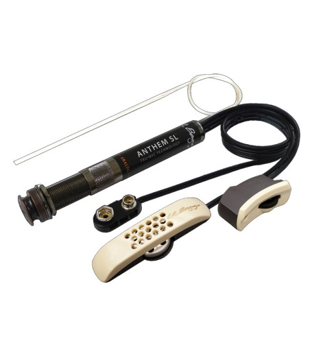 L.R.Baggs Anthem Sl Acoustic with a Microphone Pickup