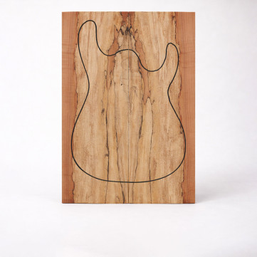 Tapas para Guitarra Eléctrica