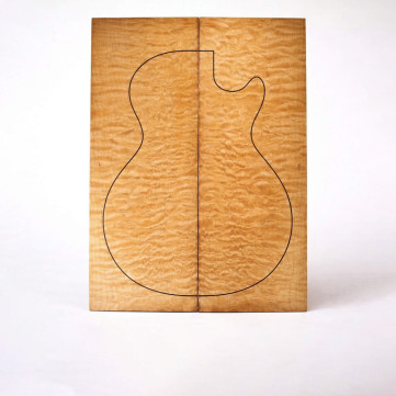Coperture per chitarra elettrica