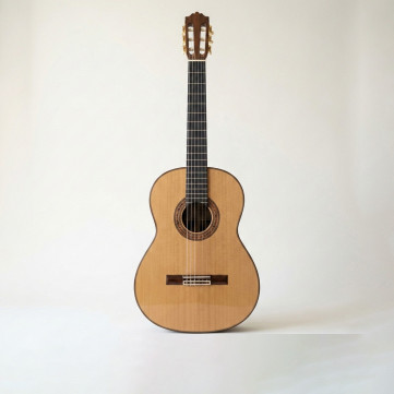 Chitarra classica / flamenca