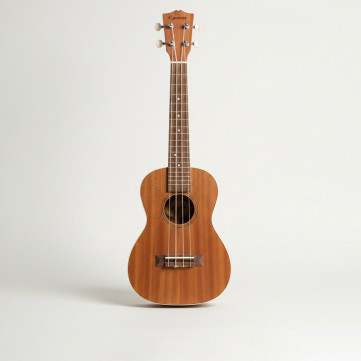 Ukulele, Cuatro und Timple