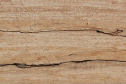 Spalted Maple (Acer saccharum Marsh)