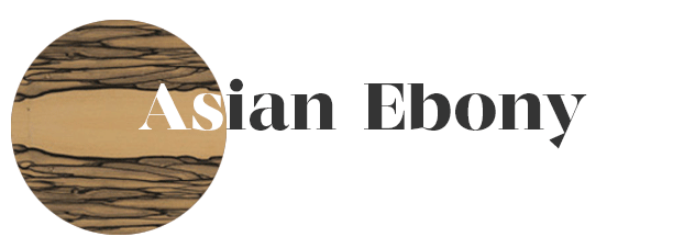 Ebony And Asian