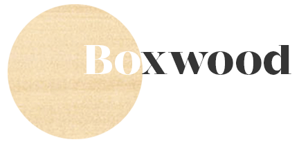 Boxwood