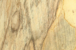 Spalted Beech Wood (Fagus sylvatica)